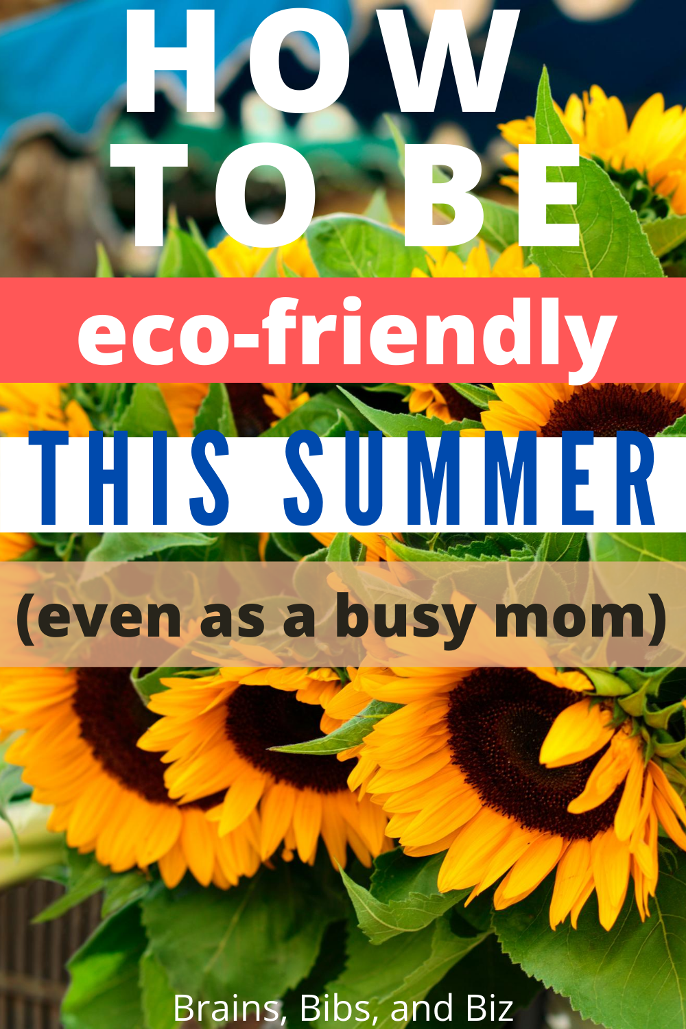 How To Have An Eco-friendly Summer, Even As A Busy Mom - Teach Go Green