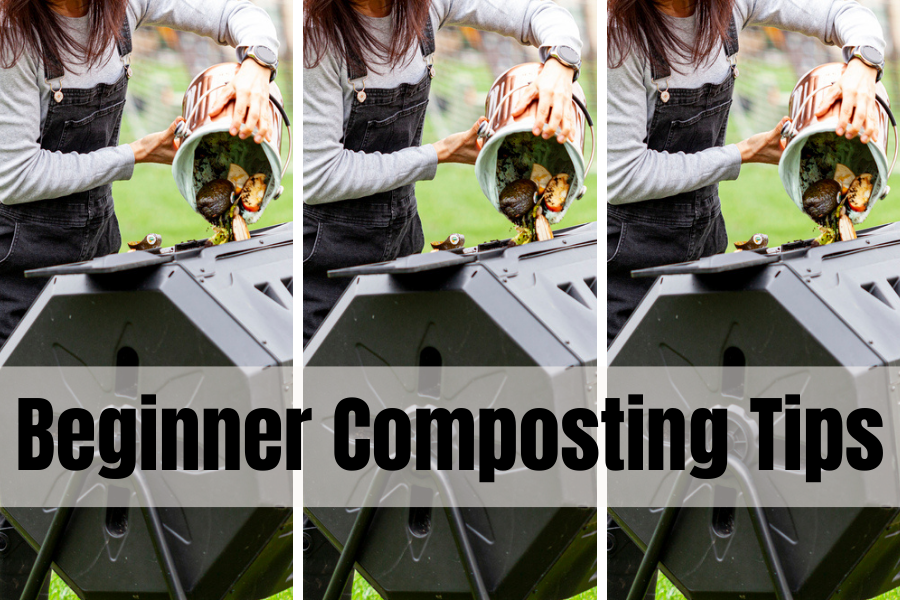 5 Beginner Composting Tips To Make Better Compost - Teach Go Green